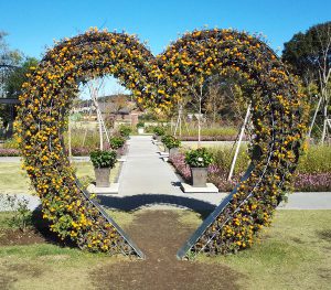 ハートのトピアリー