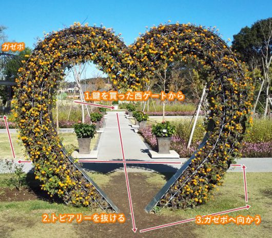 ハートのトピアリーを抜ける