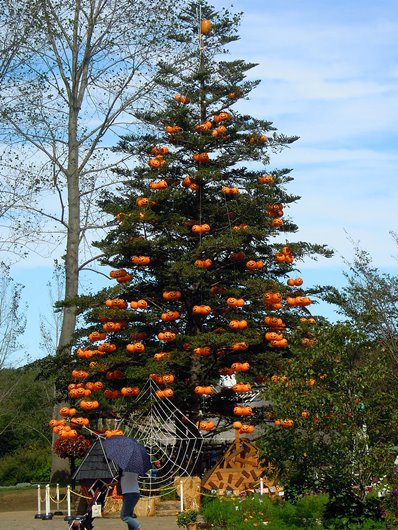 イベント広場もみの木ハロウィン2016