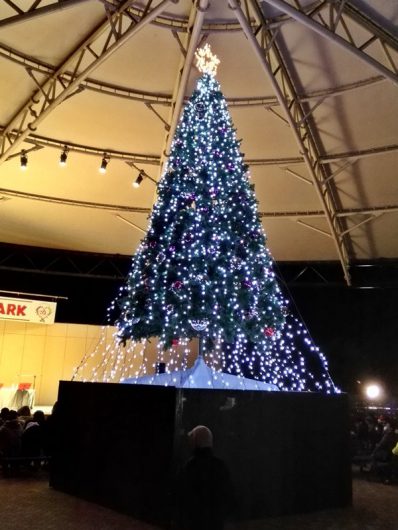 イベントドームツリーイルミ