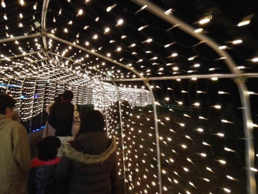 花のトンネルイルミ内部