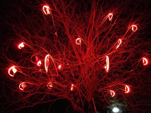 ハート付きの木