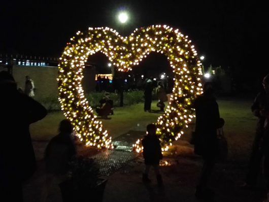 ハートのトピアリーイルミ