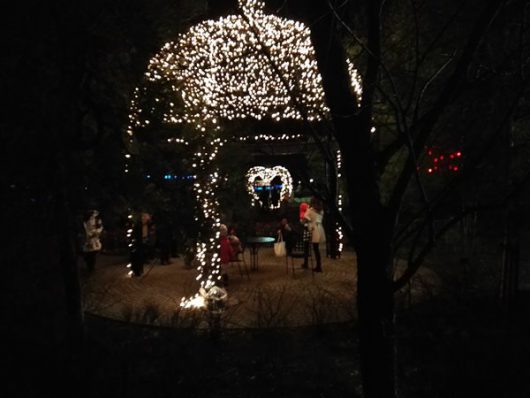 ガゼボのイルミ