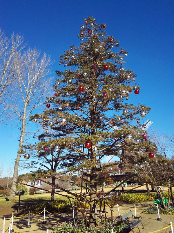 アンデルセン公園のクリスマスシーズンはどんな感じ 16年版 たこわさのアンデルセン公園おすすめ情報