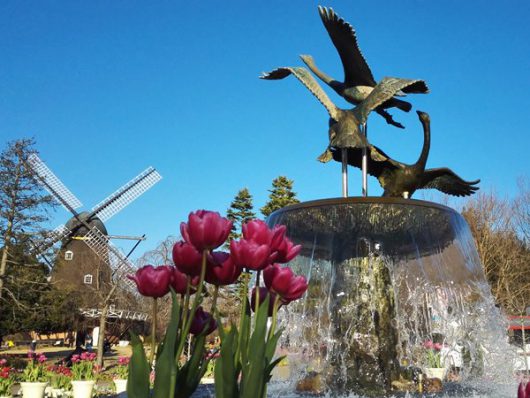 イベント広場20170103