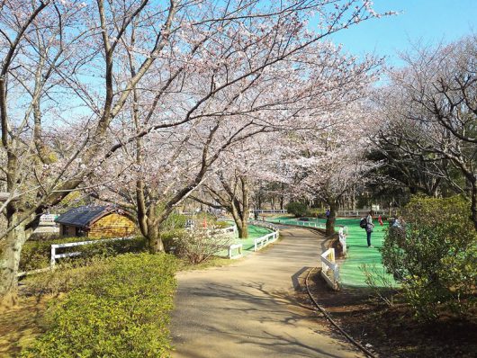 パターゴルフ通り