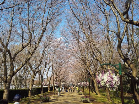 北ゲート方面を見たところ