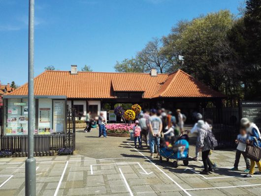 南ゲートオープン待ち